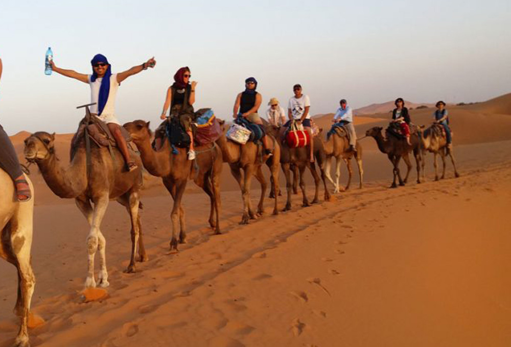 Morocco Tour Guide Camel Tour